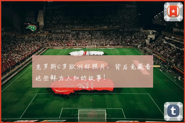 克罗斯c罗欧洲杯照片，背后竟藏着这些鲜为人知的故事！