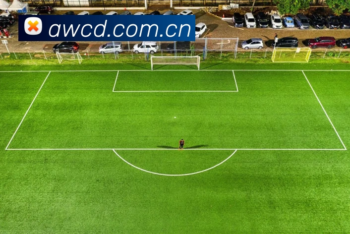 多媒体互动体验