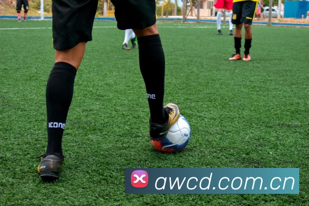 开云体育·(中国)APP全站下载APP 高清赛事图