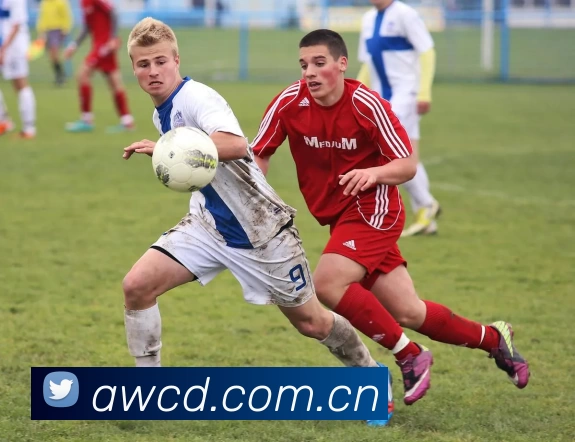 数据防护可视化